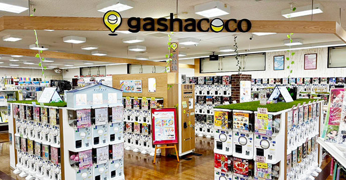 gashacoco_img1